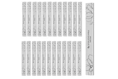 STALEKS EXPERT PILNIK MINER. P NFE-20 100/100 25x