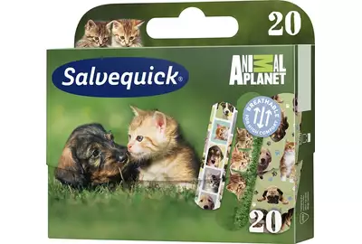 SALVEQUICK KIDS Plastry dla dzieci Animal Planet - 20 sztuk