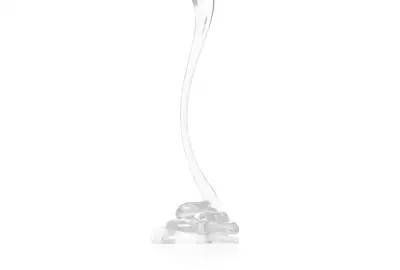 STAPIZ SLEEK LINE COLOUR Szampon do włosów farbowanych 300ml
