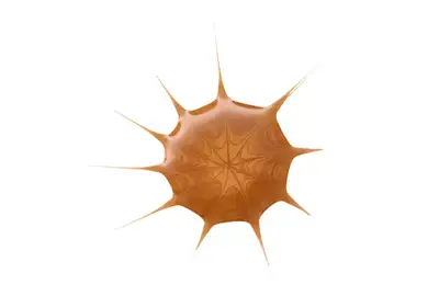 Essence Drop Of Sunshine Kropelki brązujące do twarzy 25ml
